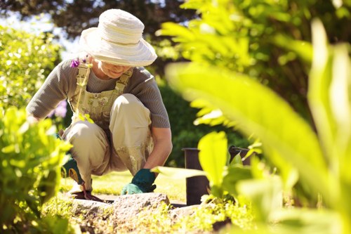 Tree surgeons in Alperton committed to ethical anti-slavery practices
