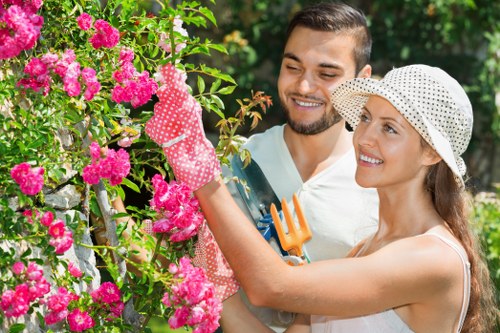 Professional tree removal work in an Alperton garden setting