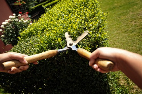 Encrypted online payment process for Tree Surgeons Alperton