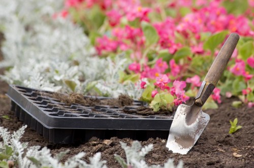 Secure card and PayPal payment options for arborist services