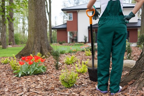 Tree care professionals reviewing final service terms and conditions